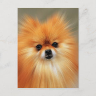 Postal Pomerano