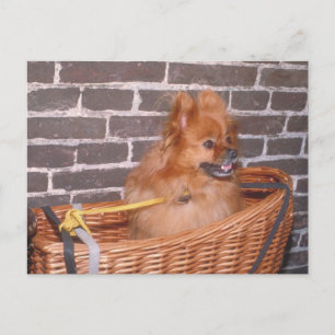Postal Pomerano