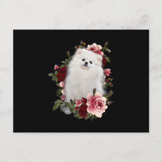 Postal Pomerano Con Flor