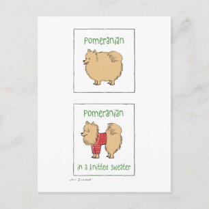 Postal Pomerano en suéter de punto