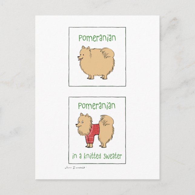 Postal Pomerano en suéter de punto (Anverso)