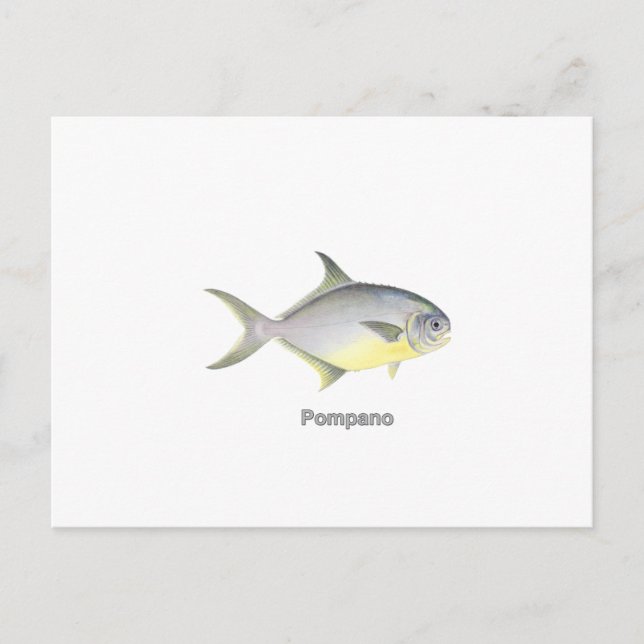 Postal Pompano (titulado) (Anverso)