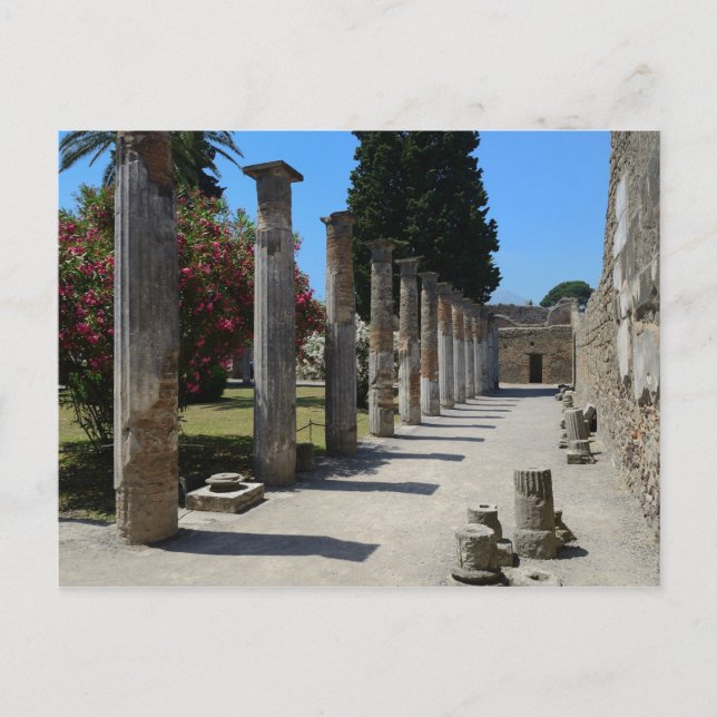 Postal Pompeya Postcard (Anverso)