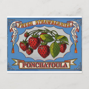 Postal Ponchatoula, La Strawberries