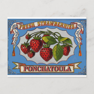 Postal Ponchatoula, La Strawberries