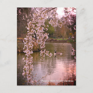 Postal Pond at RHS Wisley, Inglaterra