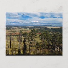 Postal Ponderosa Pine de la Torre Devils