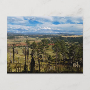 Postal Ponderosa Pine de la Torre Devils