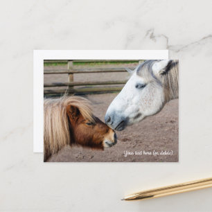 Postal Poni Shetland y poni de las Tierras Altas