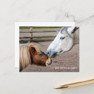 Postal Poni Shetland y poni de las Tierras Altas