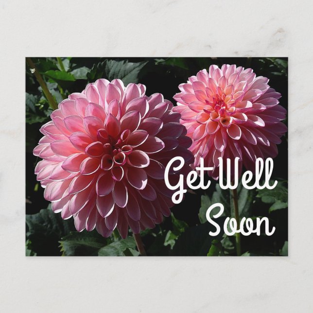 Postal Ponte bien pronto Porcupine del Valle de Dahlia #1 (Anverso)