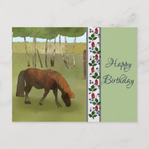 Postal Pony auf der Weide
