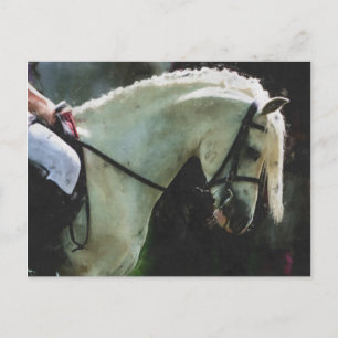 Postal Pony en un show