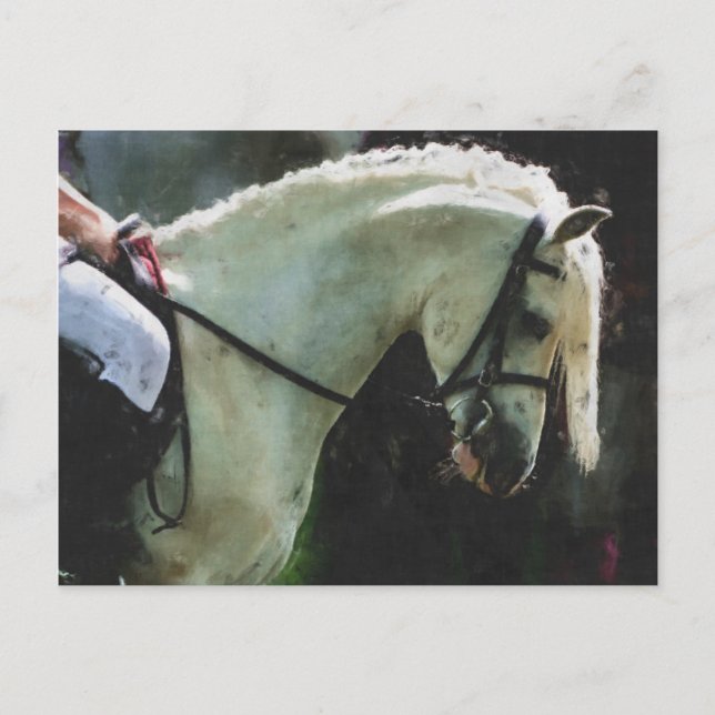 Postal Pony en un show (Anverso)