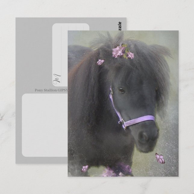 Postal Pony - Postcard (Anverso / Reverso)