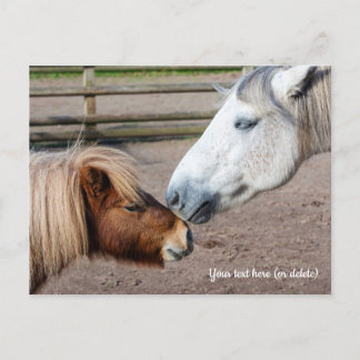 Postal Pony Shetland y Pony Highland