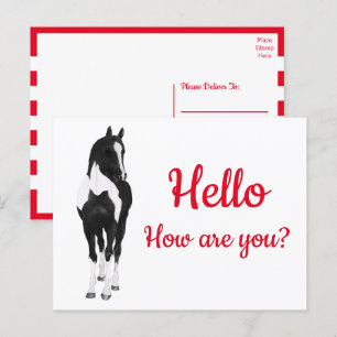 Postal Pony Watercolor Black White Horse Hello P