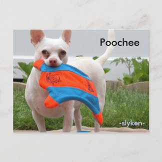 Postal Poochee, -slyken-