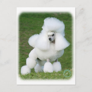 Postal Poodle