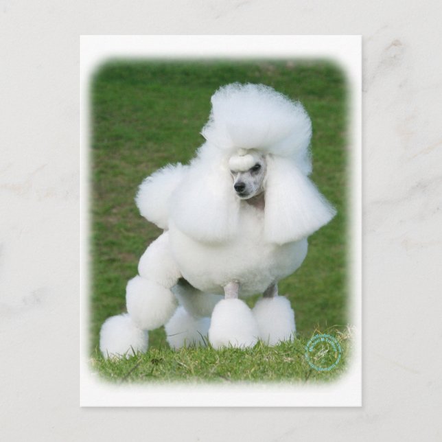 Postal Poodle (Anverso)
