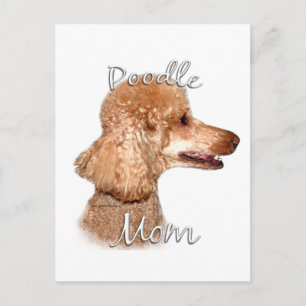 Postal Poodle (albaricoque) Mamá 2