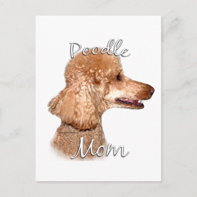 Postal Poodle (albaricoque) Mamá 2 (Anverso)