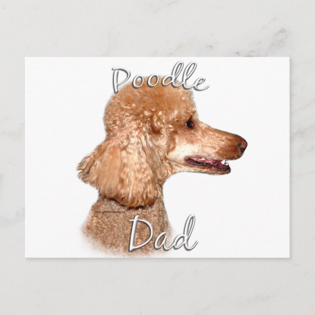 Postal Poodle (albaricoque) Papá 2 (Anverso)