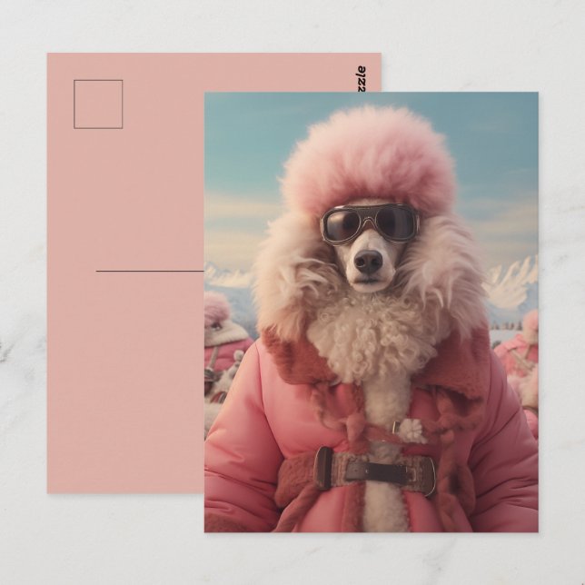 Postal Poodle Ártico (Anverso / Reverso)