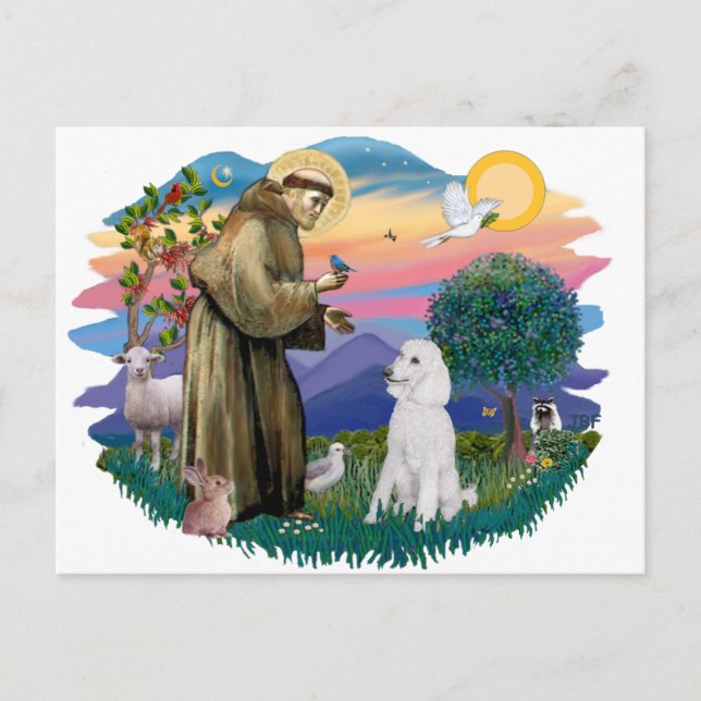 Postal Poodle (blanco estándar) (Anverso)