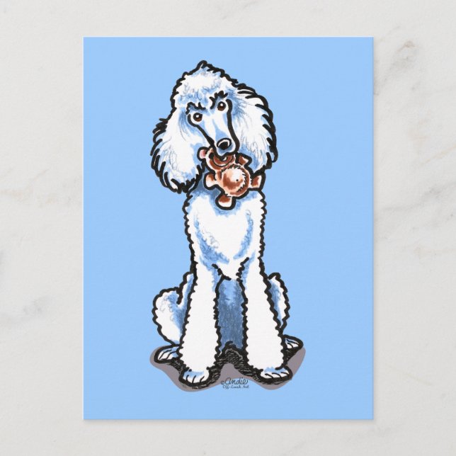 Postal Poodle blanco estándar Teddy Bear (Anverso)