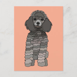 Postal Poodle Dog Pet