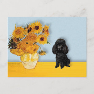 Postal Poodle (Negro1) - girasoles
