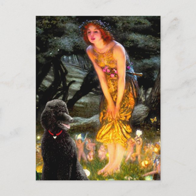 Postal Poodle negro de mediano nivel (T) (Anverso)