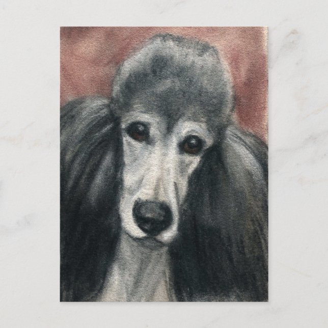 Postal Poodle Original Dog Art Postcard (Anverso)