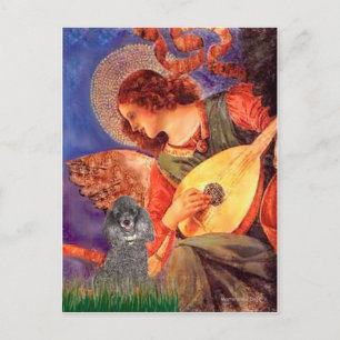 Postal Poodle(s) - Ángel de la Mandolina