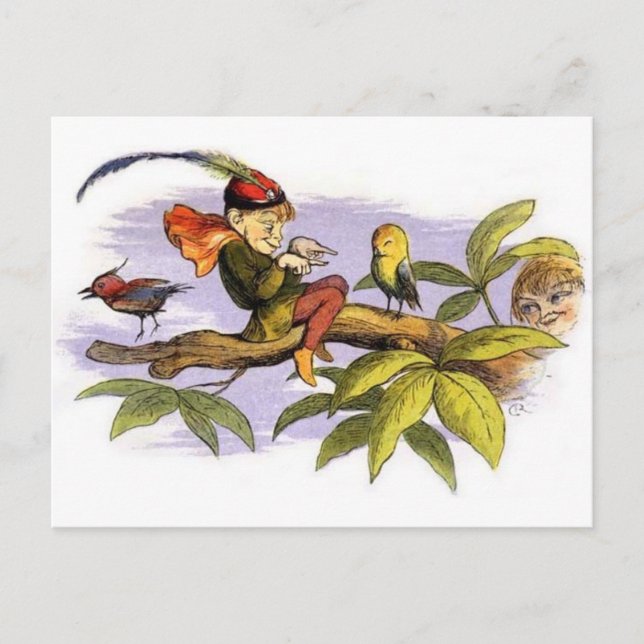 Postal Poor_little_birdie_teasing_by_Richard_Doyle (Anverso)