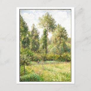 Postal Poplars and Meadow Painting de Pissarro