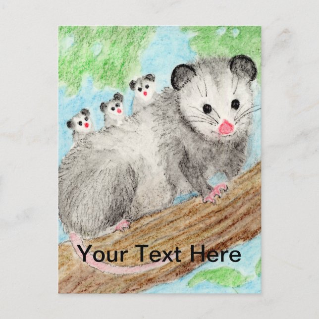 Postal Popossum Mom Postcard (Anverso)
