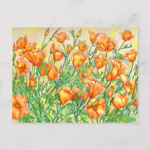 Postal Poppies