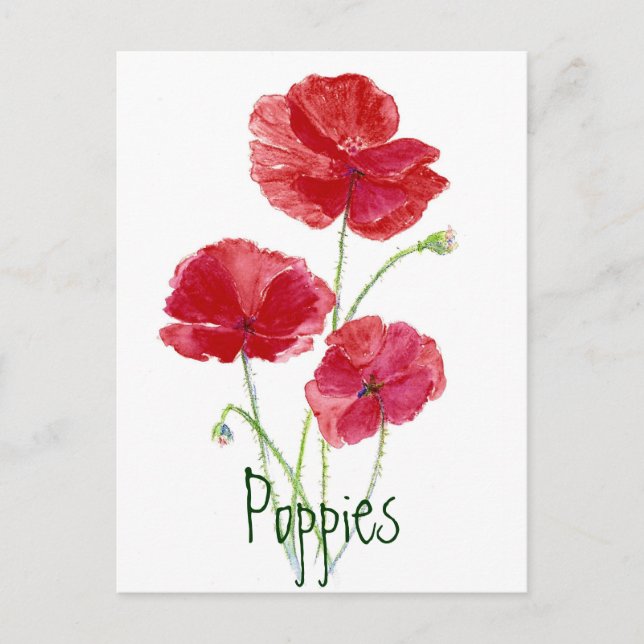 Postal Poppies rojos - acuarela (Anverso)