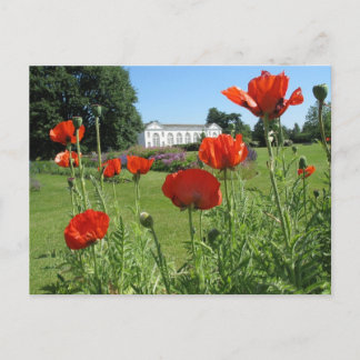 Postal Poppies rojos en Kew Gardens