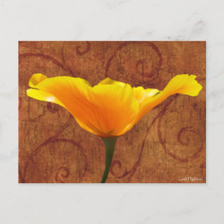 Postal Poppy de California