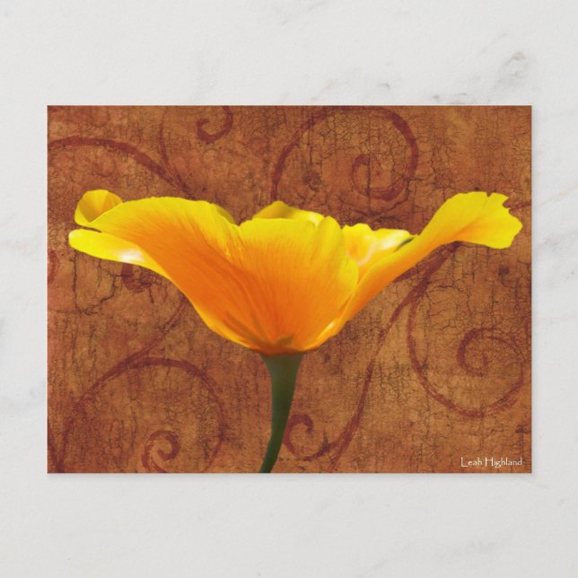 Postal Poppy de California (Anverso)