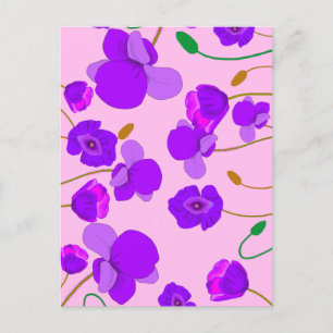 Postal Poppy (Papaver somniferum) Lilac
