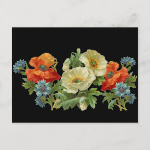 Postal Poppy y Cornflowers Vintage Floral Postcard