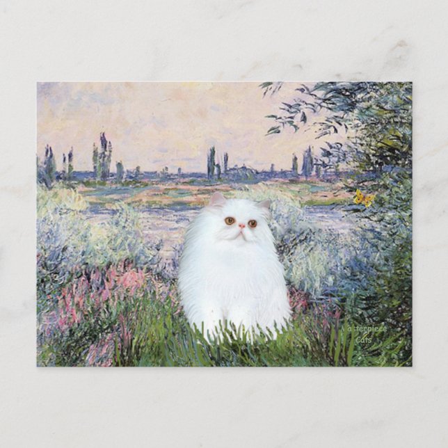 Postal Por el Sena - gatito persa blanco #49 (Anverso)