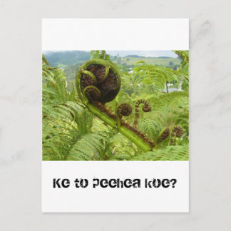 Postal Por encima del dosel forestal: Kiwiana