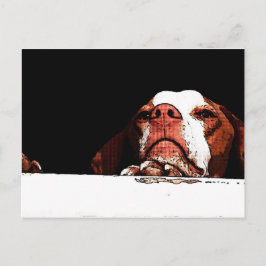 Postal Por favor, no te vayas