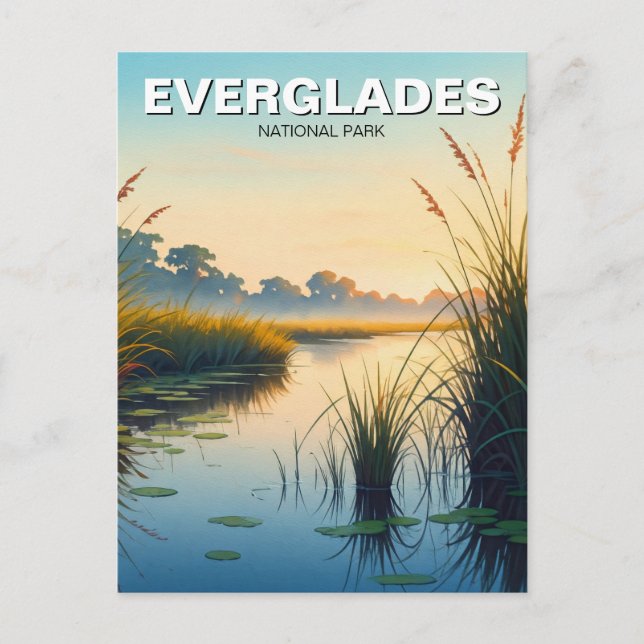 Postal Por la mañana Parque Nacional Everglades Florida V (Anverso)