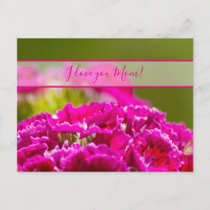 Postal ¡Por la mejor mamá del mundo!